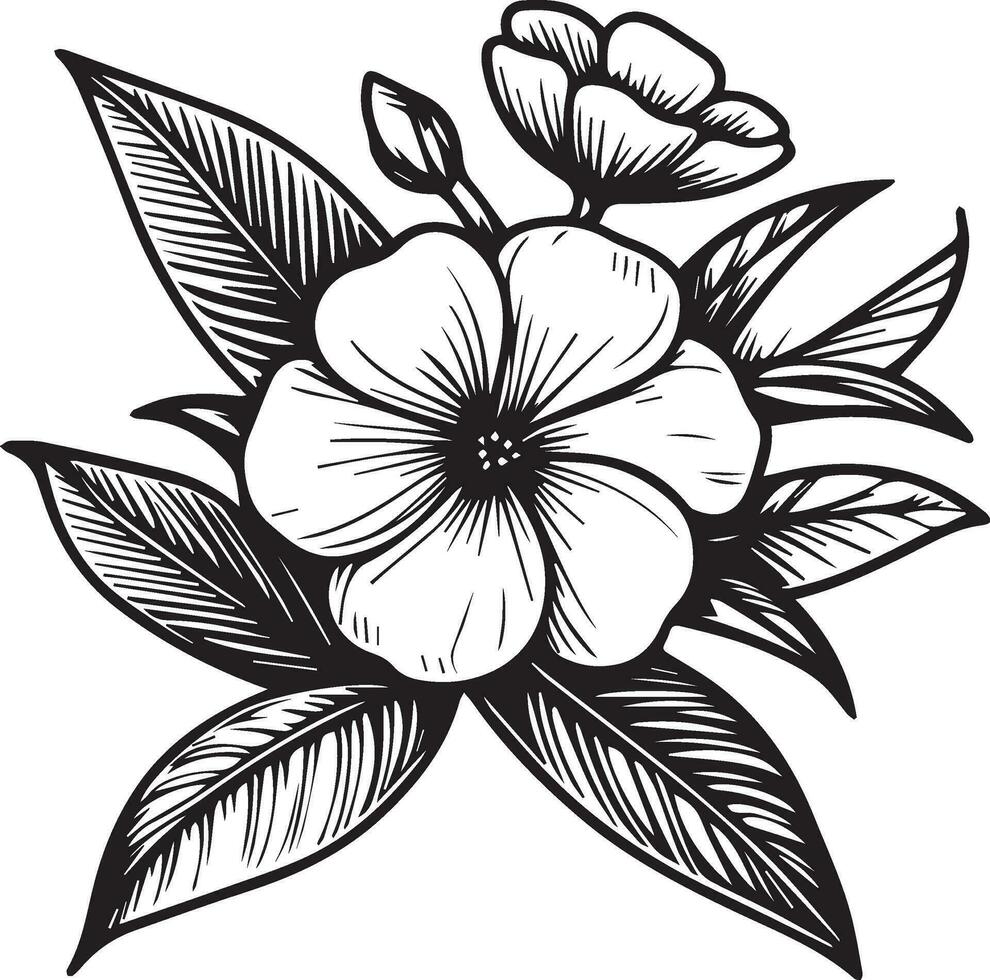 Periwinkle tattoo, black and white vector sketch illustration of floral ornament bouquet of Periwinkle simplicity, Embellishment, zentangle design element for card printing coloring pages