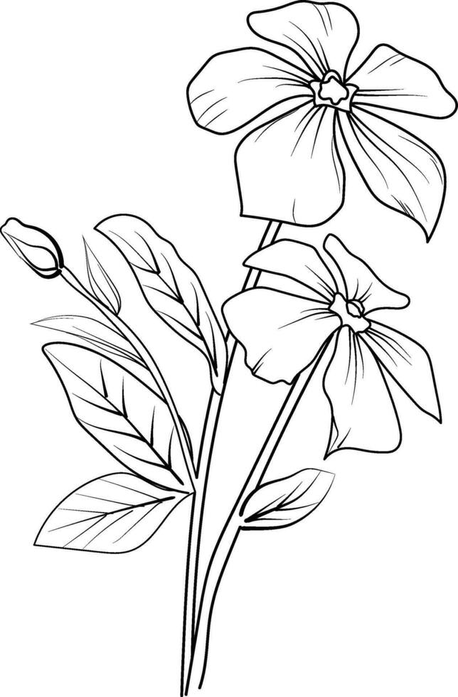 realista catharanthus flor colorante páginas, Madagascar bígaro dibujo, bígaro dibujo, flor racimo dibujo, linda flor colorante páginas, ilustración vector Arte
