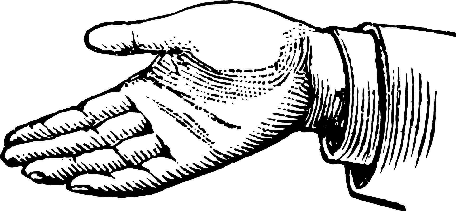 This picture represents the hands simple affirmation vintage engraving. vector