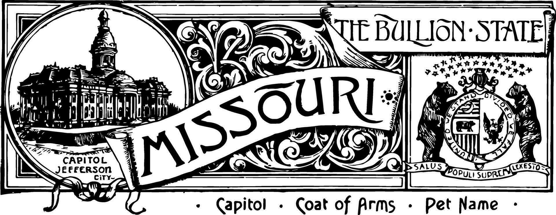 The state banner of Missouri the bullion state vintage illustration vector