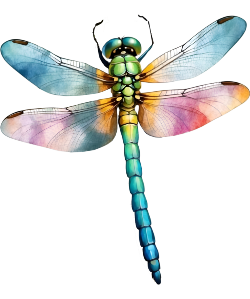 AI generated Watercolor painting of a dragonfly. Ai-generated png