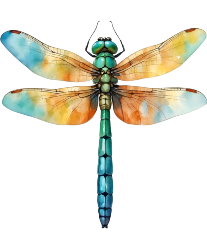 AI generated Watercolor painting of a dragonfly. Ai-generated png