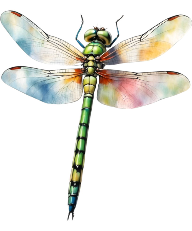 AI generated Watercolor painting of a dragonfly. Ai-generated png