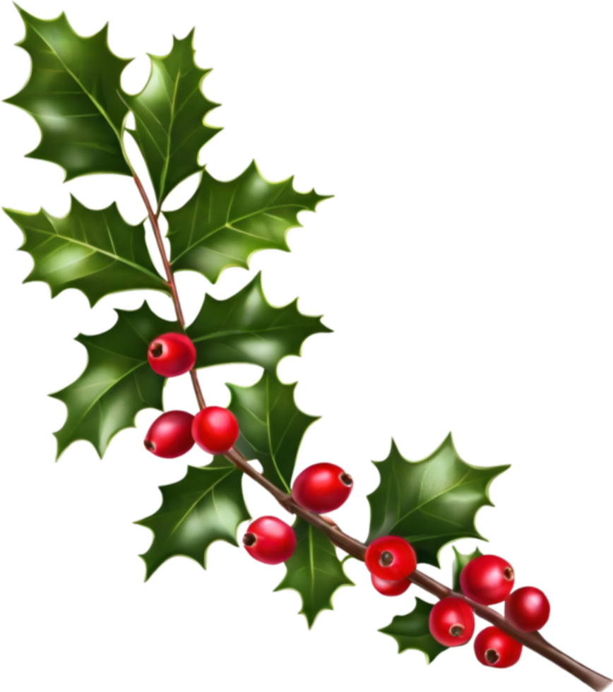 AI generated An image of holly branches. Ai-generated. png