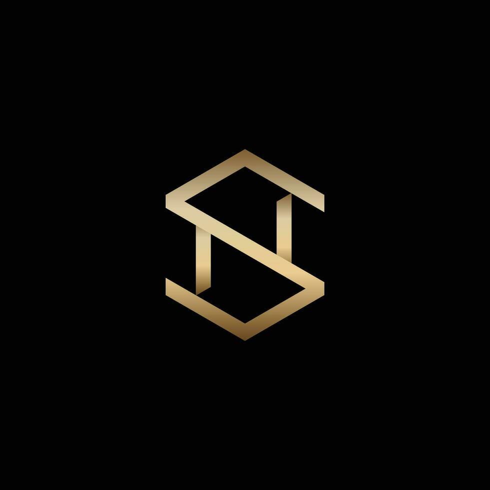 NS Hexagonal Logo in Luxury vector