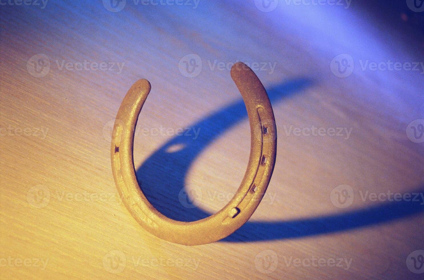 horseshoe lucky retro wild vintage photo