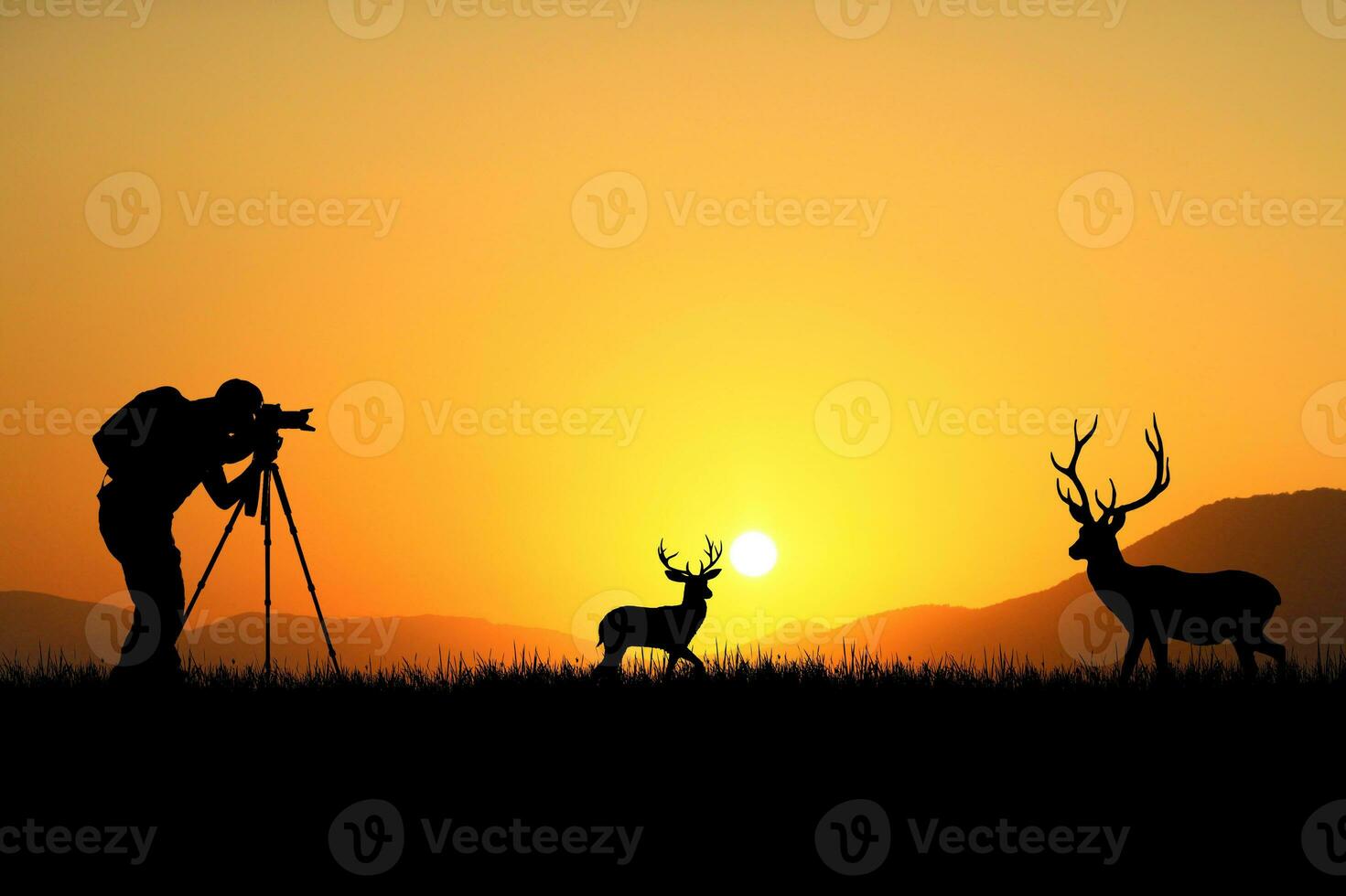 Professional photographer taking pictures with camera and tripod in a beautiful meadow. photo