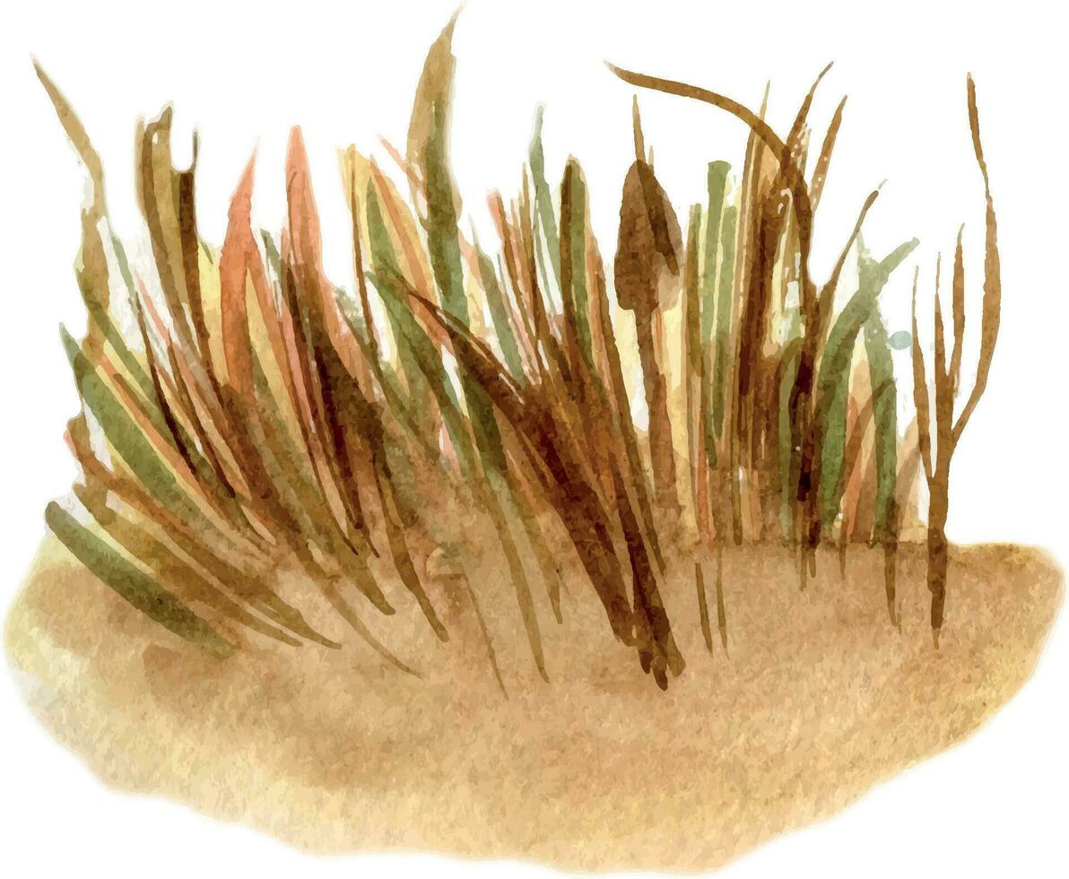 Field of wheat landscape watercolor illustration isolated on white background. Hand drawn grass. View of rye hand painted . Element for design package bread, trade, grocery store, bakery vector