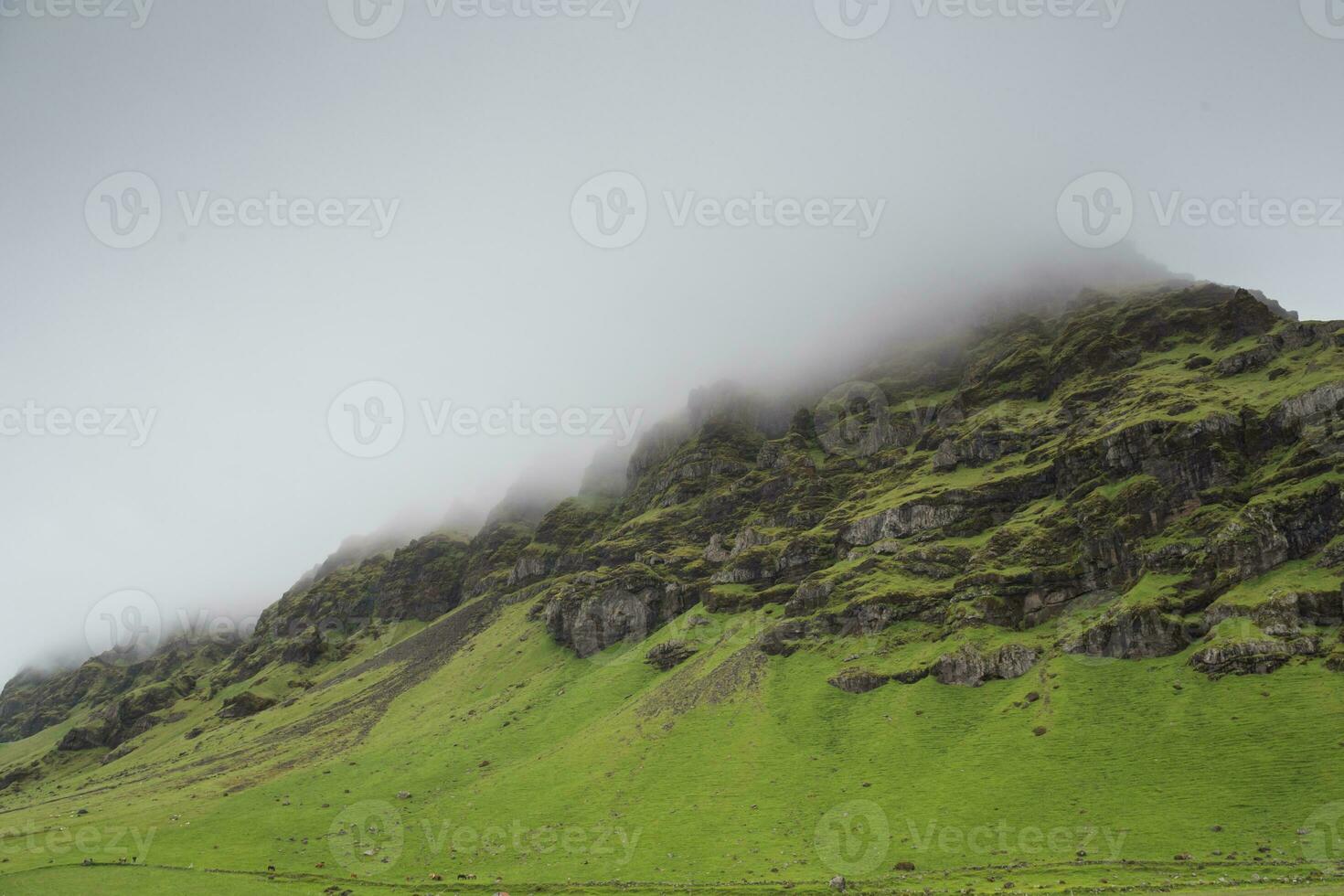 Image of beautiful nature of Iceland. photo