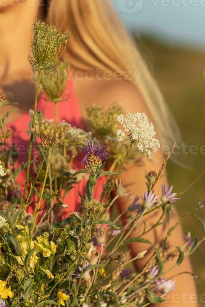 mujer participación ramo de flores de flores y disfruta en el naturaleza.enfoque en flores foto