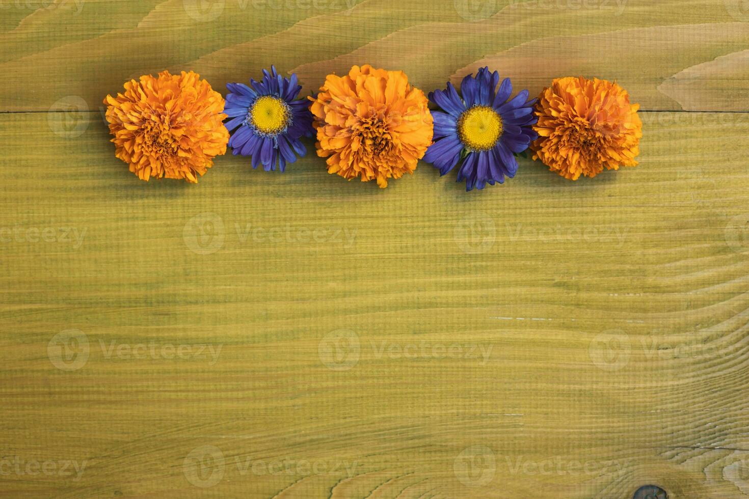 Image of beautiful flowers on wooden background. photo