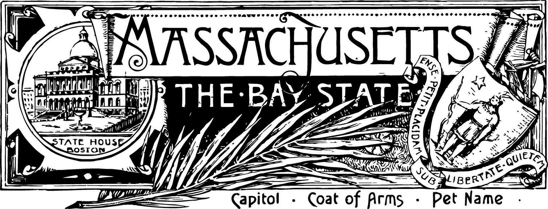 el estado bandera de Massachusetts el bahía estado Clásico ilustración vector