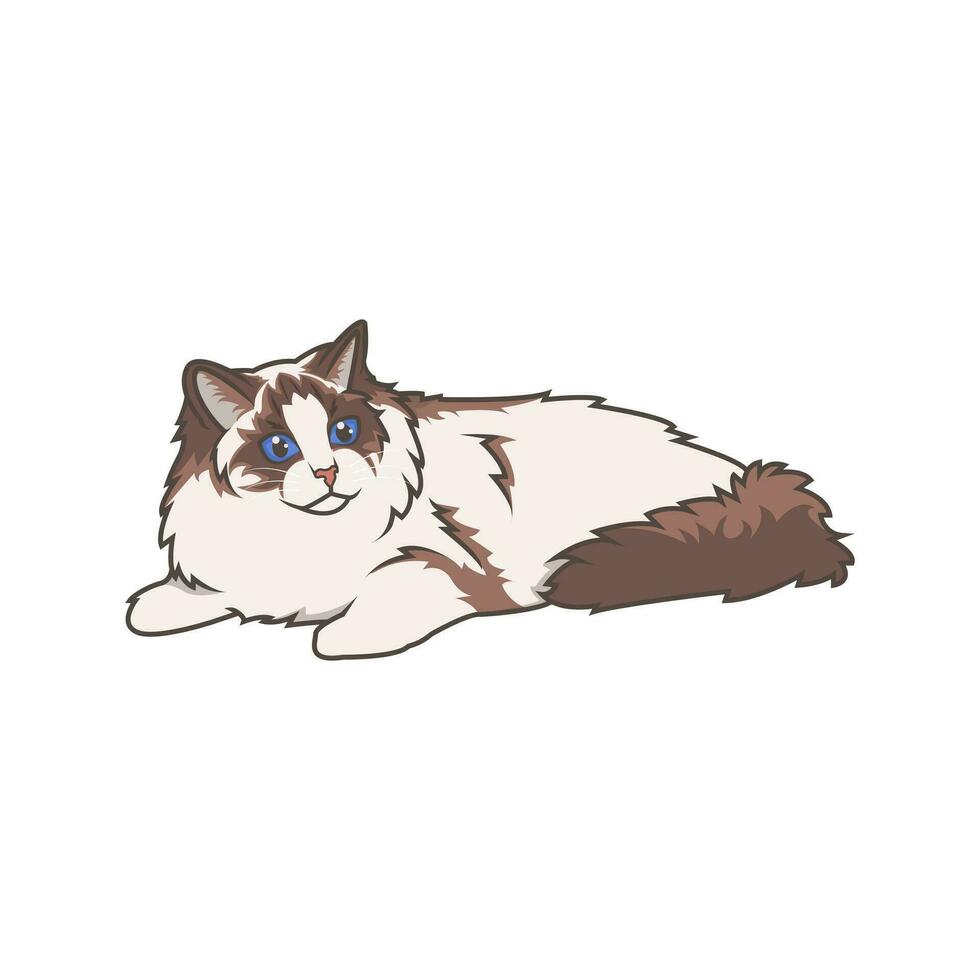 Discover adorable Ragdoll kittens. These high-quality illustrations exude cuteness, perfect for pet-related designs. simple illustration of ragdoll cat. eps10 vector