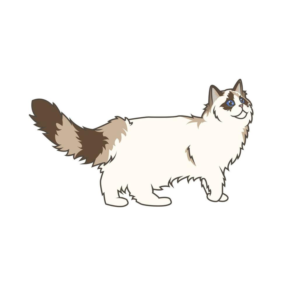 Discover adorable Ragdoll kittens. These high-quality illustrations exude cuteness, perfect for pet-related designs. simple illustration of ragdoll cat. eps10 vector