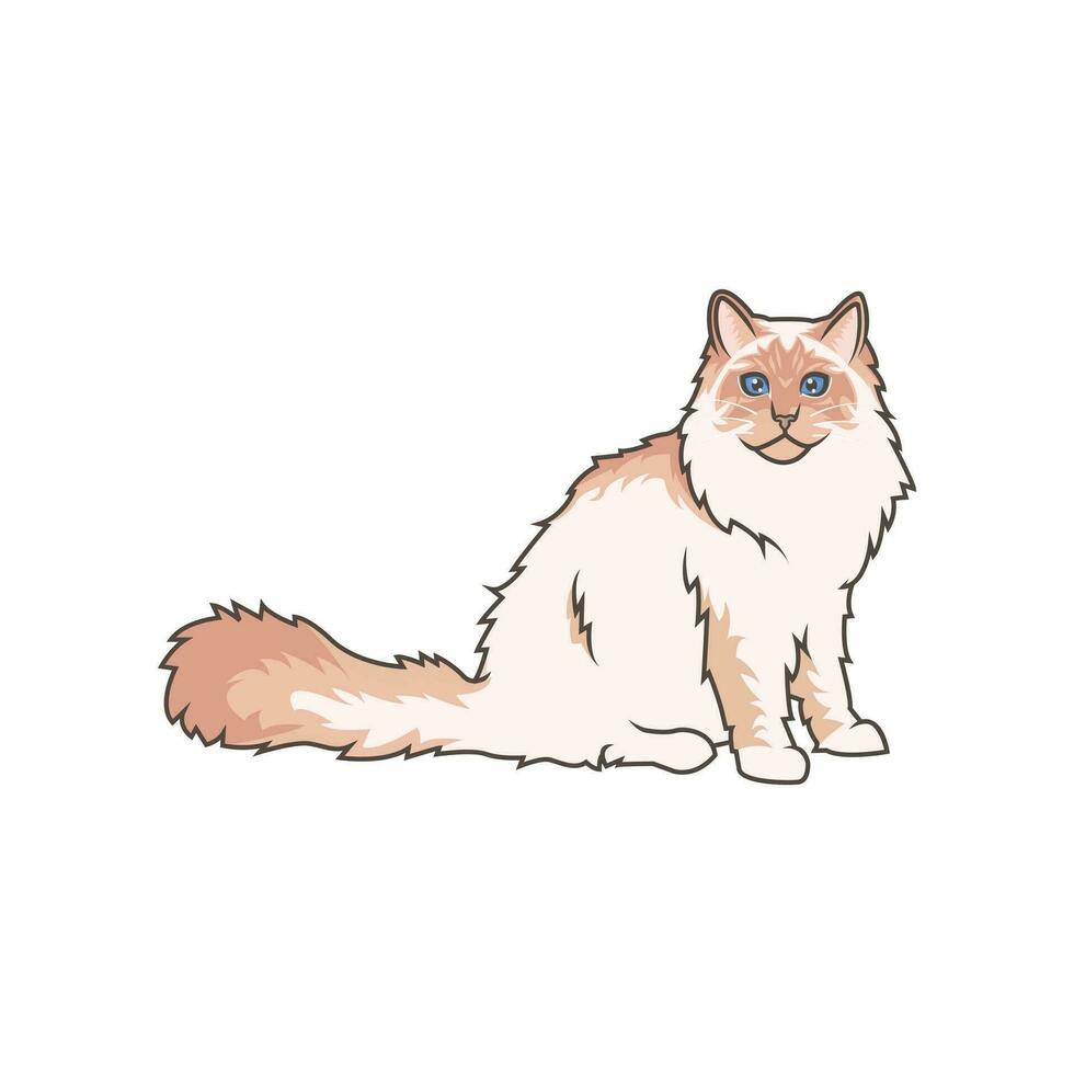 Discover adorable Ragdoll kittens. These high-quality illustrations exude cuteness, perfect for pet-related designs. simple illustration of ragdoll cat. eps10 vector