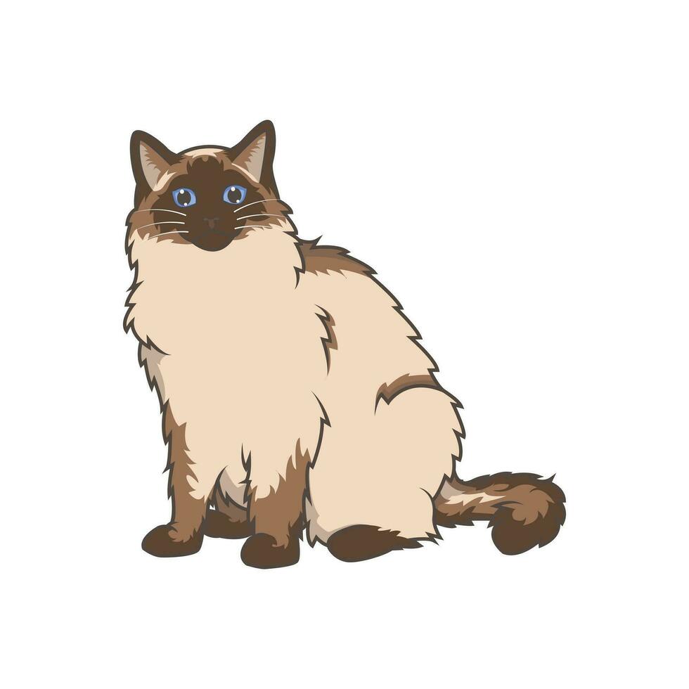 Discover adorable Ragdoll kittens. These high-quality illustrations exude cuteness, perfect for pet-related designs. simple illustration of ragdoll cat. eps10 vector