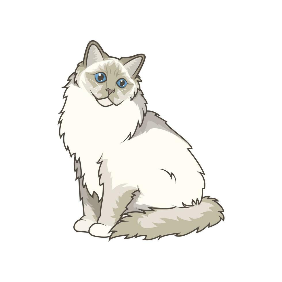 Discover adorable Ragdoll kittens in various charming poses. These high-quality illustrations exude cuteness, perfect for pet-related designs. vector