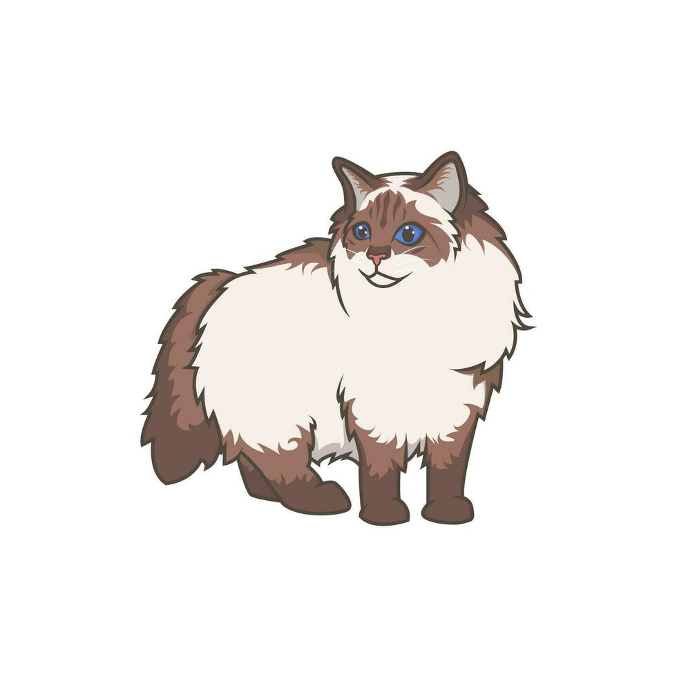 Discover adorable Ragdoll kittens. These high-quality illustrations exude cuteness, perfect for pet-related designs. simple illustration of ragdoll cat. eps10 vector