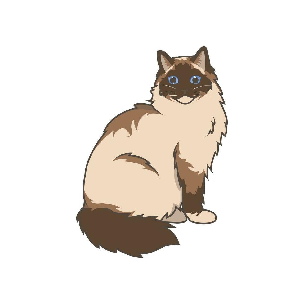 Discover adorable Ragdoll kittens. These high-quality illustrations exude cuteness, perfect for pet-related designs. simple illustration of ragdoll cat. eps10 vector