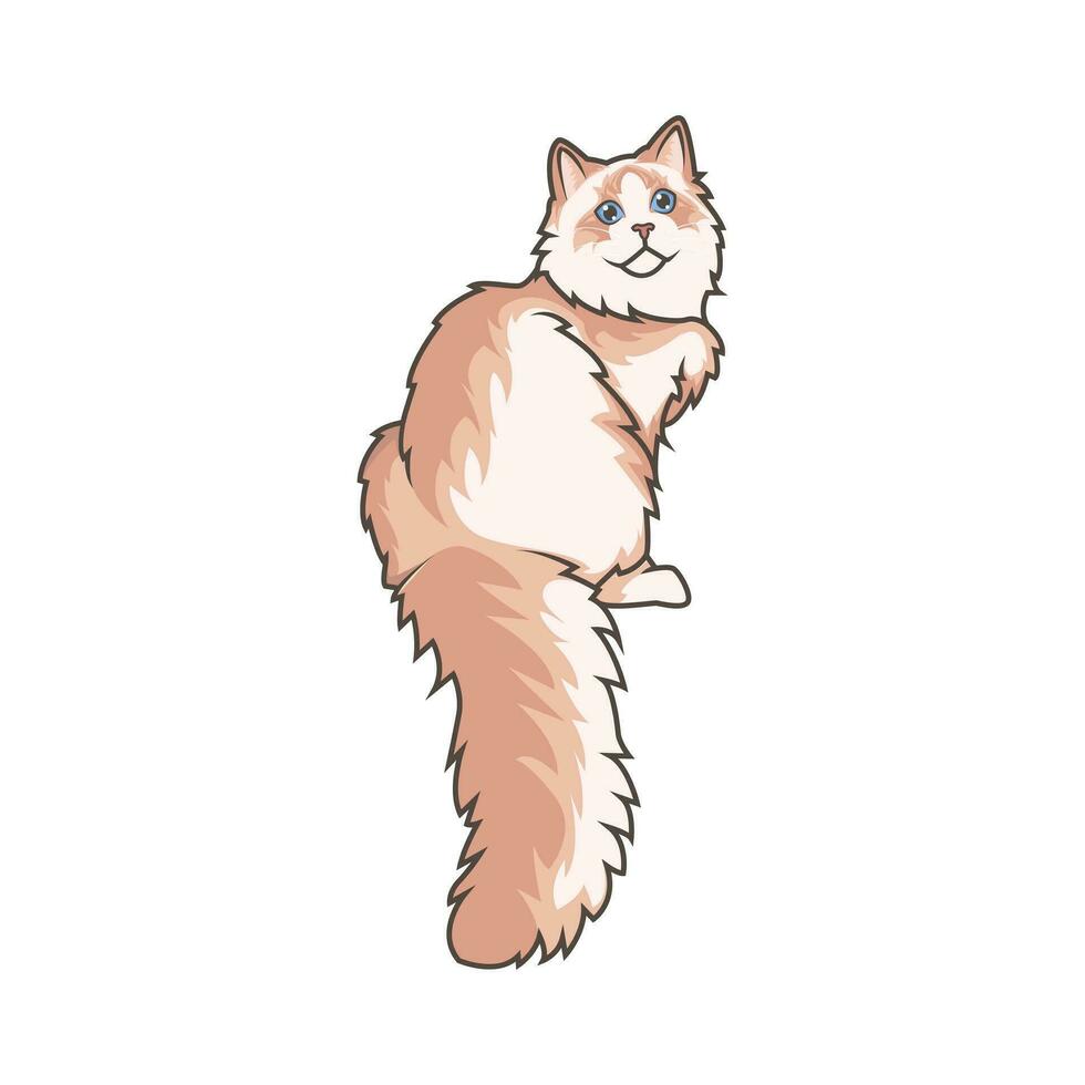 Discover adorable Ragdoll kittens. These high-quality illustrations exude cuteness, perfect for pet-related designs. simple illustration of ragdoll cat. eps10 vector