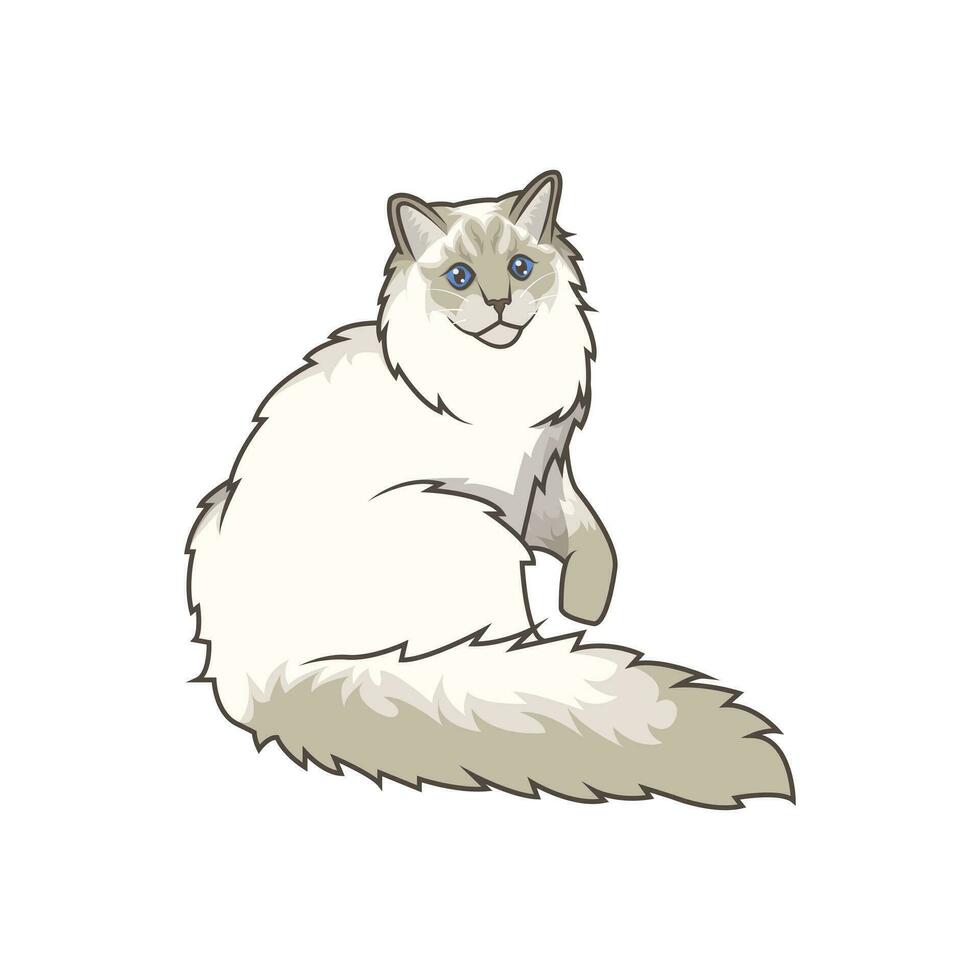 Discover adorable Ragdoll kittens in various charming poses. These high-quality illustrations exude cuteness, perfect for pet-related designs. vector