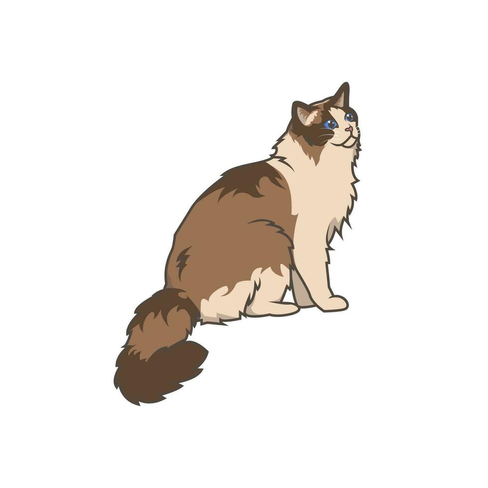 Discover adorable Ragdoll kittens. These high-quality illustrations exude cuteness, perfect for pet-related designs. simple illustration of ragdoll cat. eps10 vector