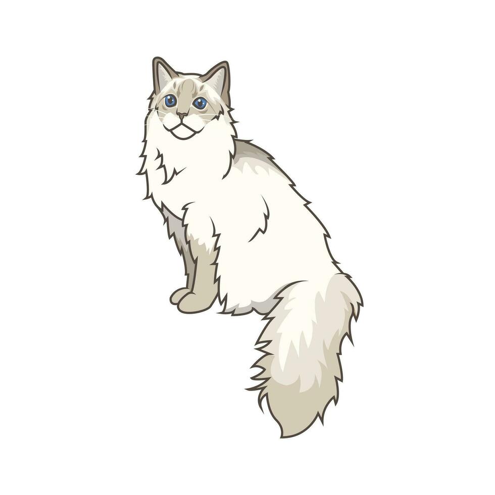 Discover adorable Ragdoll kittens in various charming poses. These high-quality illustrations exude cuteness, perfect for pet-related designs. vector