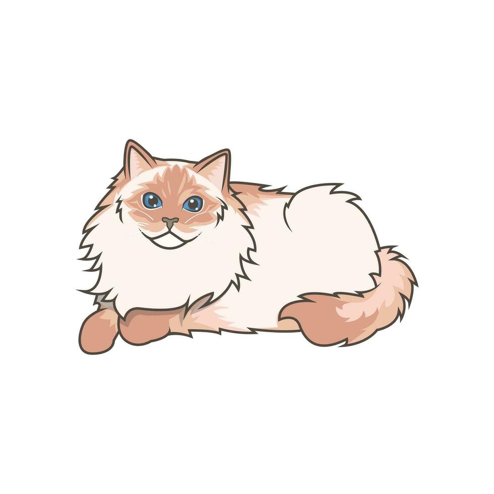 Discover adorable Ragdoll kittens. These high-quality illustrations exude cuteness, perfect for pet-related designs. simple illustration of ragdoll cat. eps10 vector