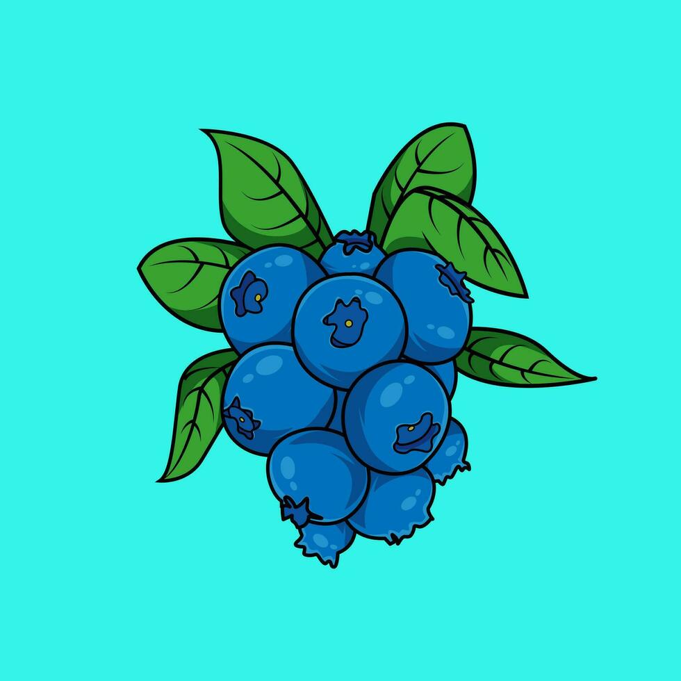 Illustration vector graphic of blueberries, suitable for kitchen room illustration, children's drawing book, advertisement,etc