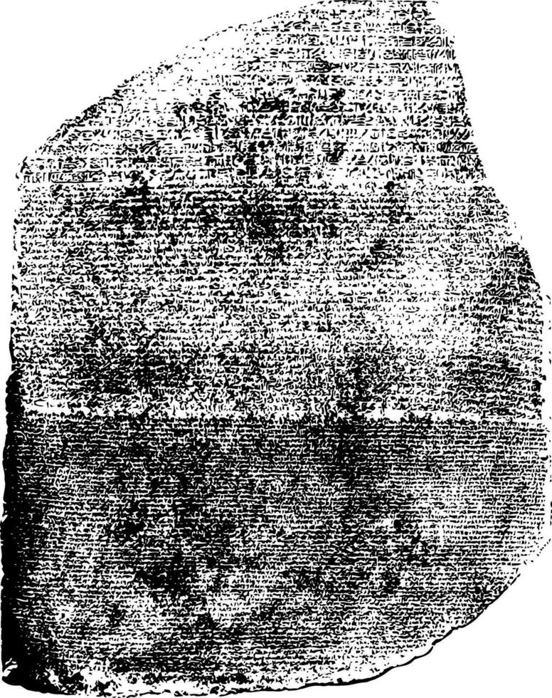 The Rosetta Stone Front View or Ancient Egyptian text vintage engraving. vector