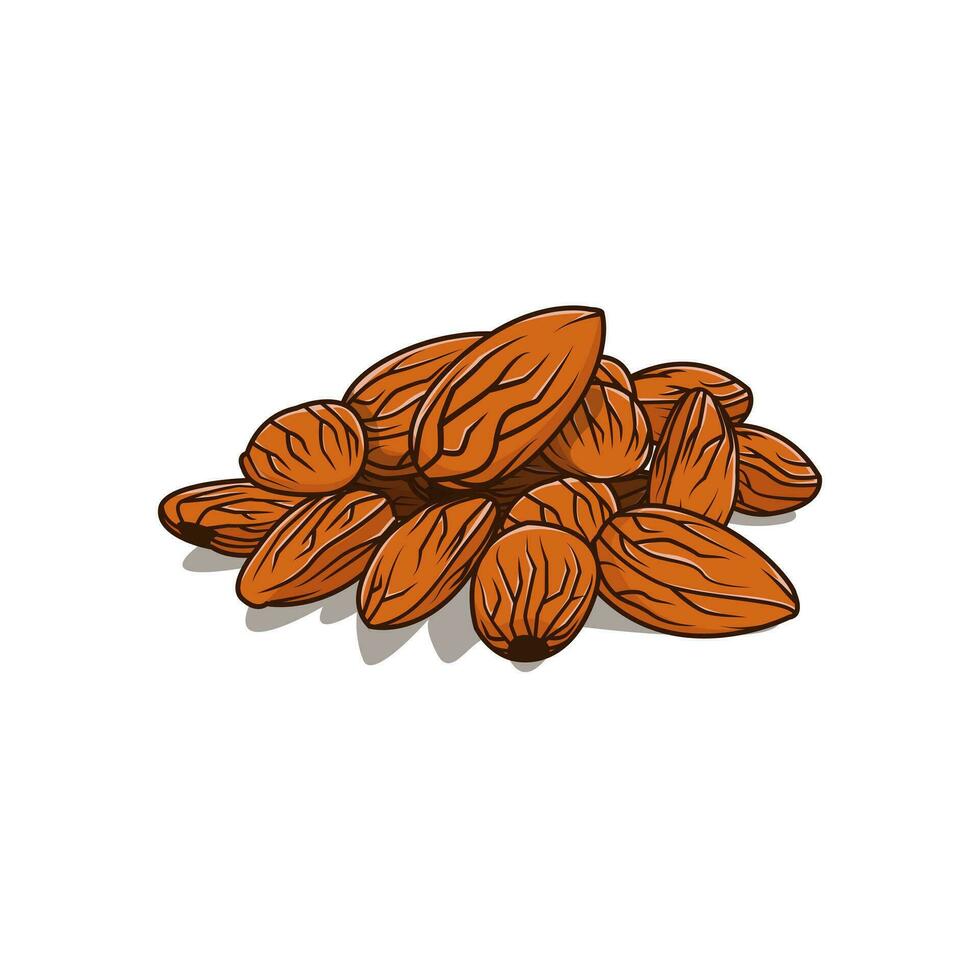 illustration vector graphic of almond, fit for food menu illustrations, paintings in the kitchen, wallpapers etc