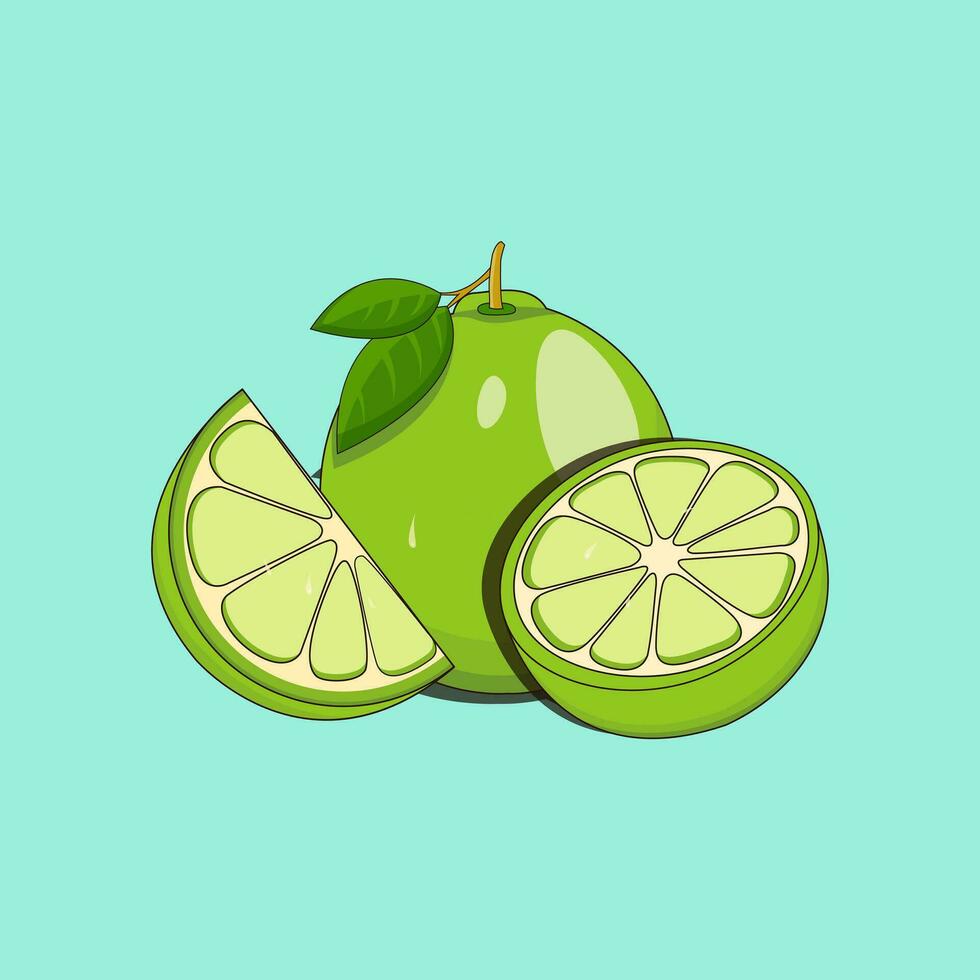 illustration vector graphic of lime, fit for food menu illustrations, paintings in the kitchen, wallpapers etc