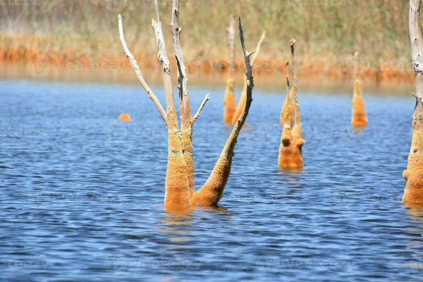 Copper red polluted lake mine photo