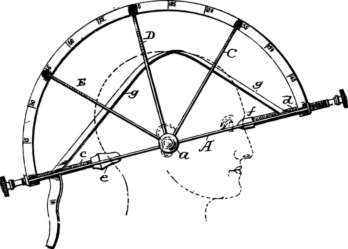 An Annular Graduated Base Phrenometer vintage illustration vector