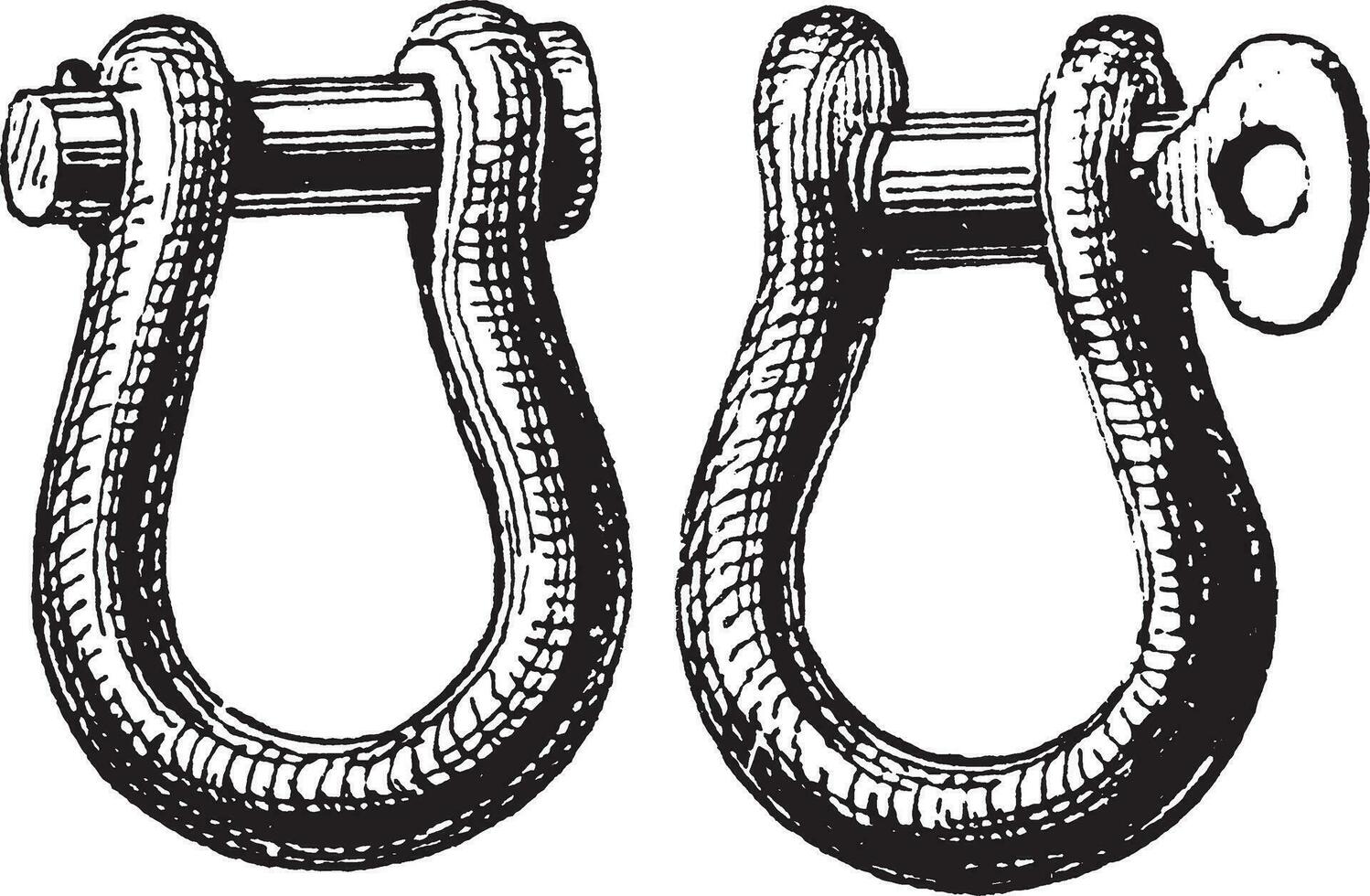 Anchor Shackles, vintage illustration. vector