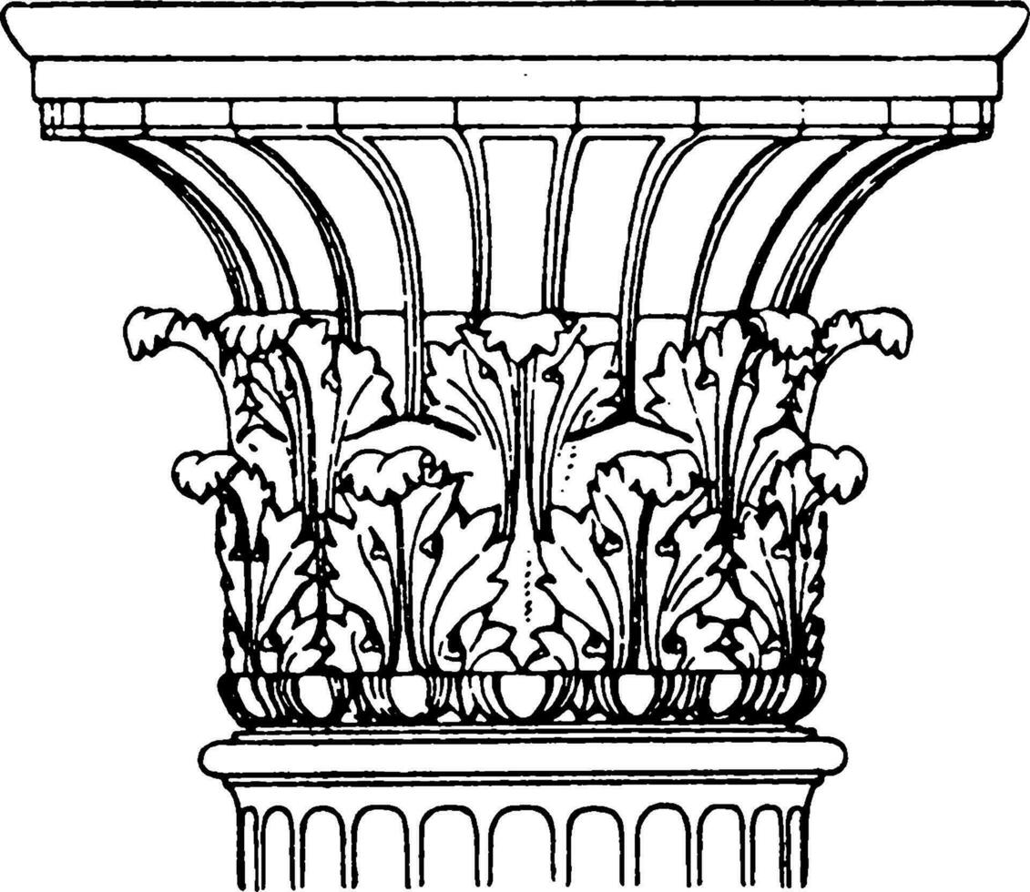 Antique Corinthian, greece vector