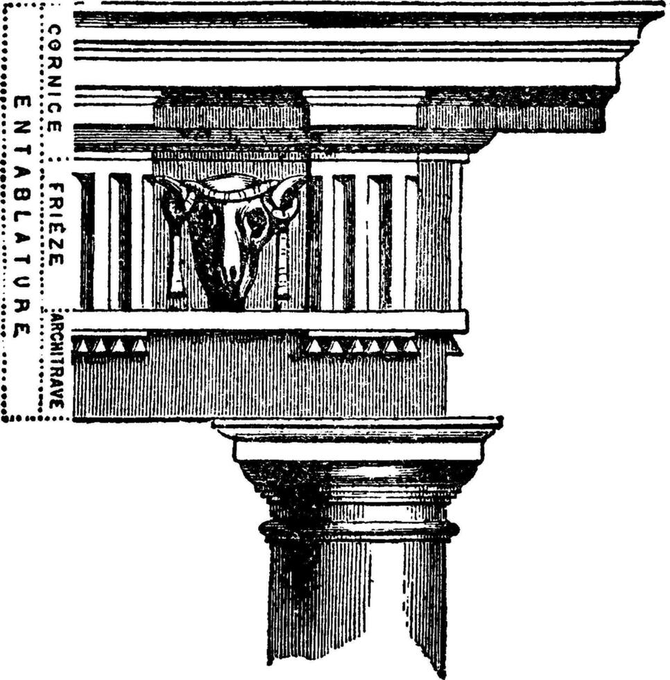 Entablanture, superstructure,  vintage engraving. vector