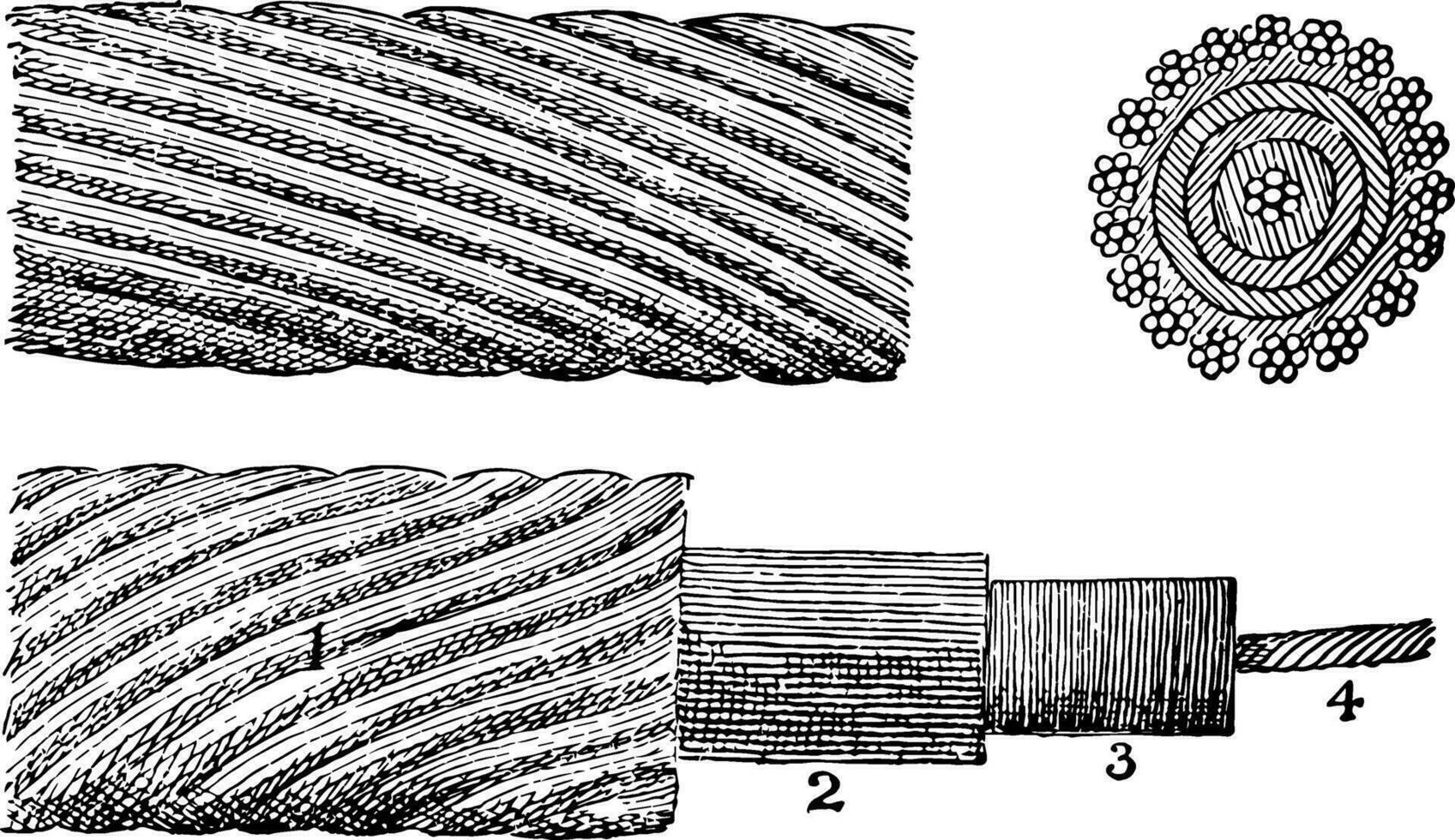 el original atlántico cable Clásico ilustración. vector