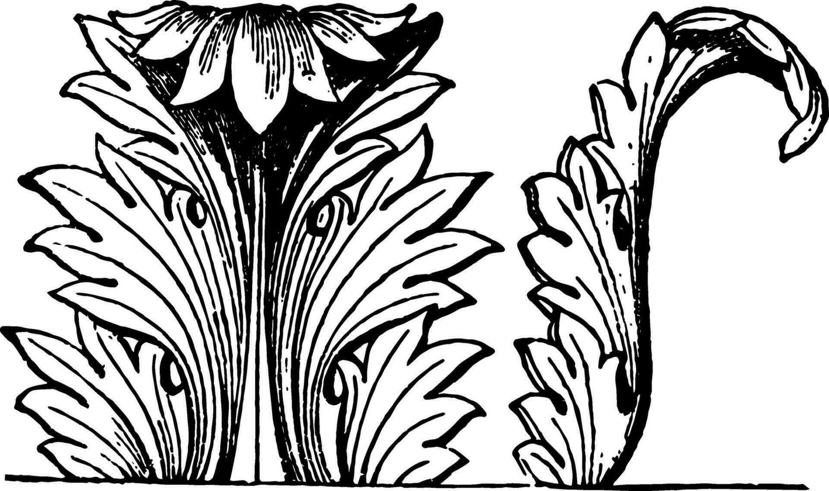 Acanthus Decoration is an acanthus decoration of an architectural column, vintage engraving. vector