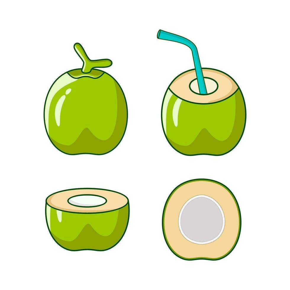 Set of fresh young coconut illustration template vector