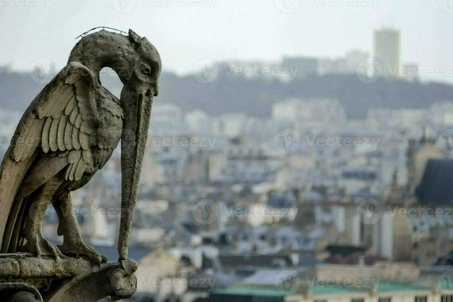 a bird statue on top of a building overlooking a city photo