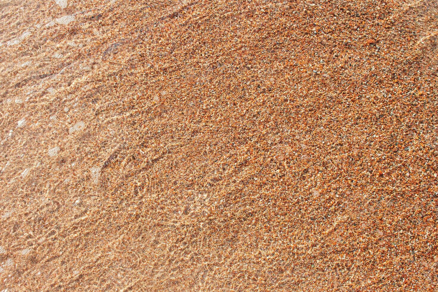 Clear water with pebbles and ripples on sunny day by  sea. Water distortion background. Rest, travel, nature. Copy space photo