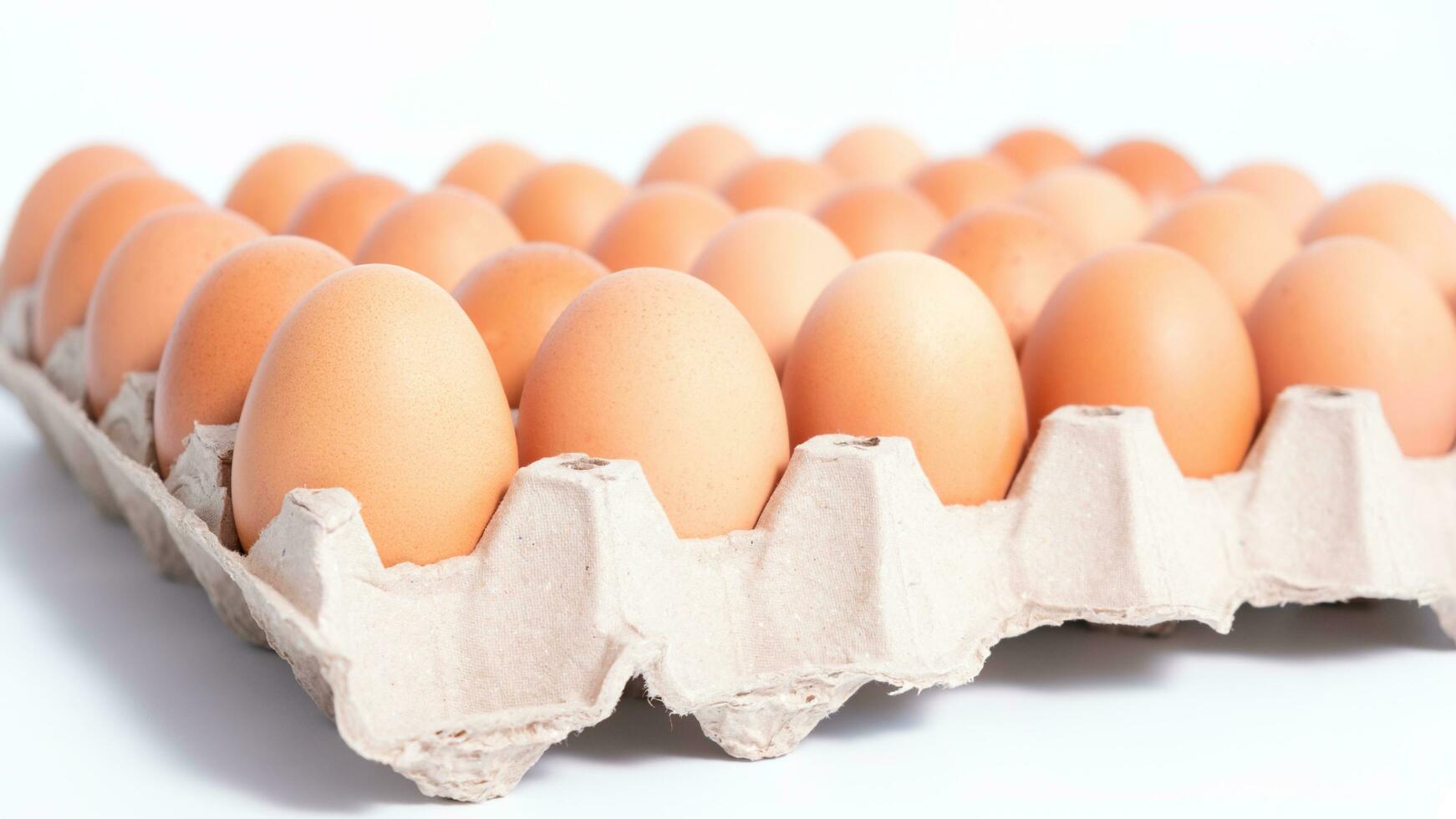 egg tray with fresh brown eggs isolated on white background, clipping path. Fresh organic chicken eggs in carton box. photo