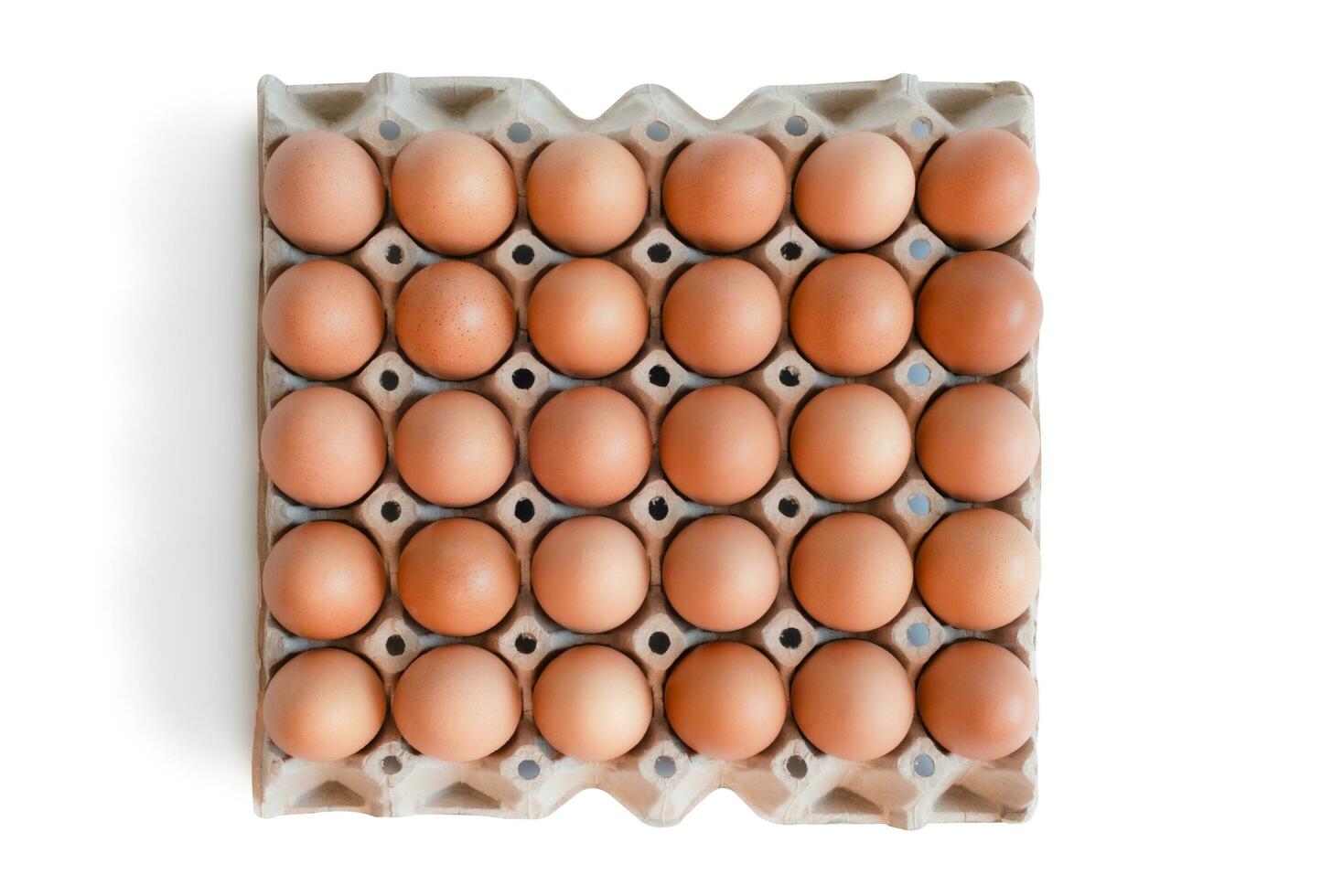 egg tray with fresh brown eggs isolated on white background, clipping path. Fresh organic chicken eggs in carton box. photo