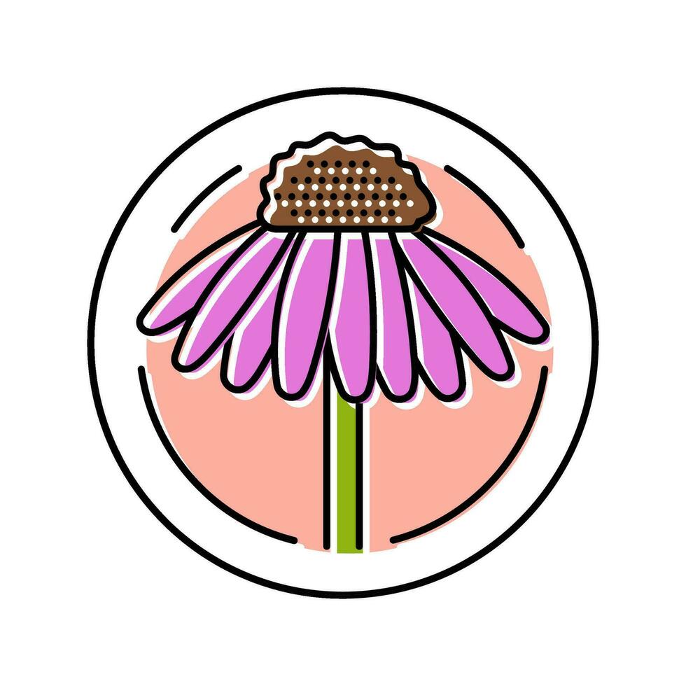 cone flower cosmetic plant color icon vector illustration