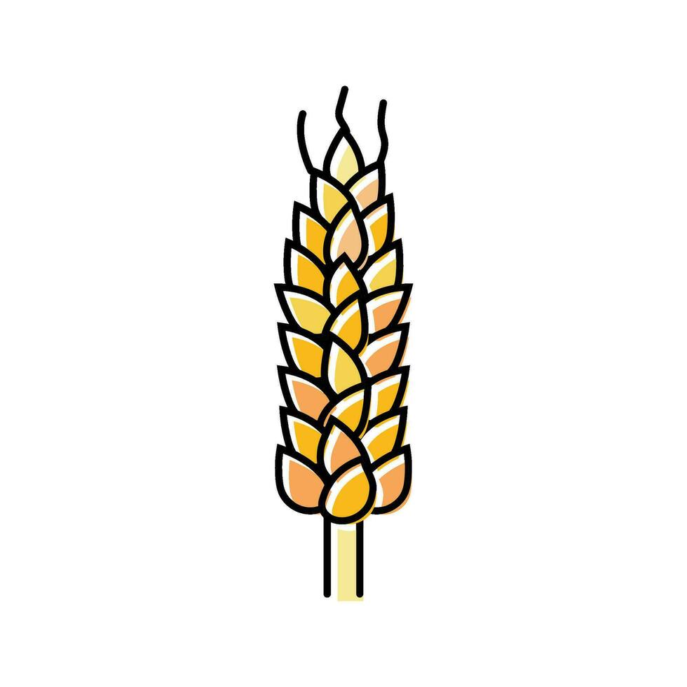 spikelet yellow wheat color icon vector illustration