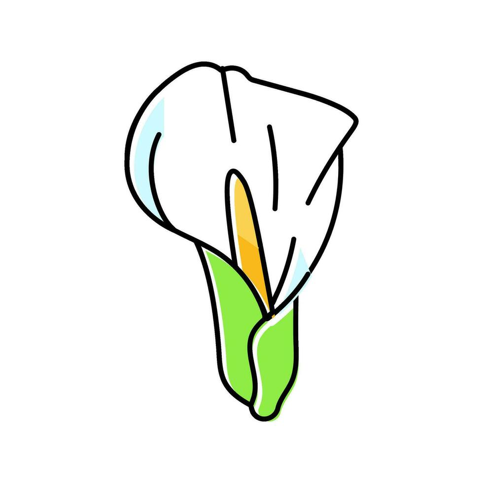 calla lirio florecer primavera color icono vector ilustración