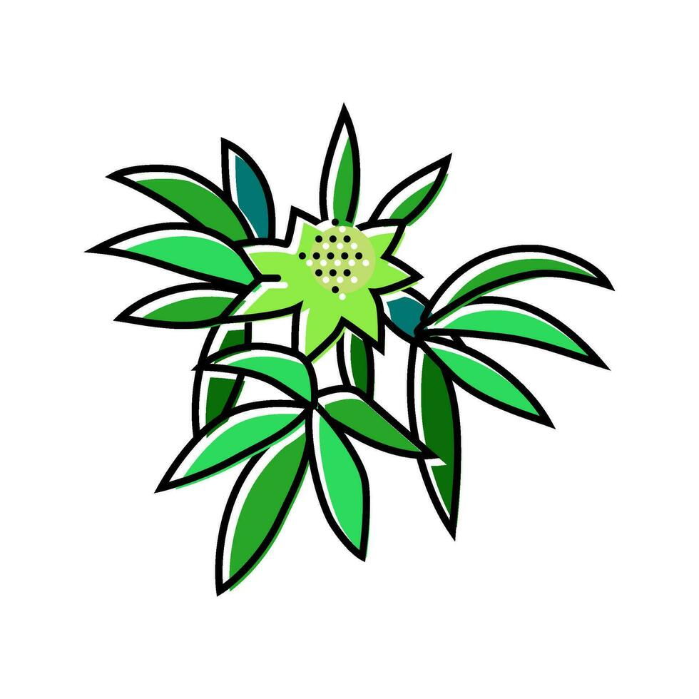 canabis hierba planta color icono vector ilustración