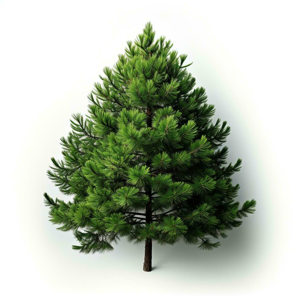 AI generated Green small pine tree on white background photo