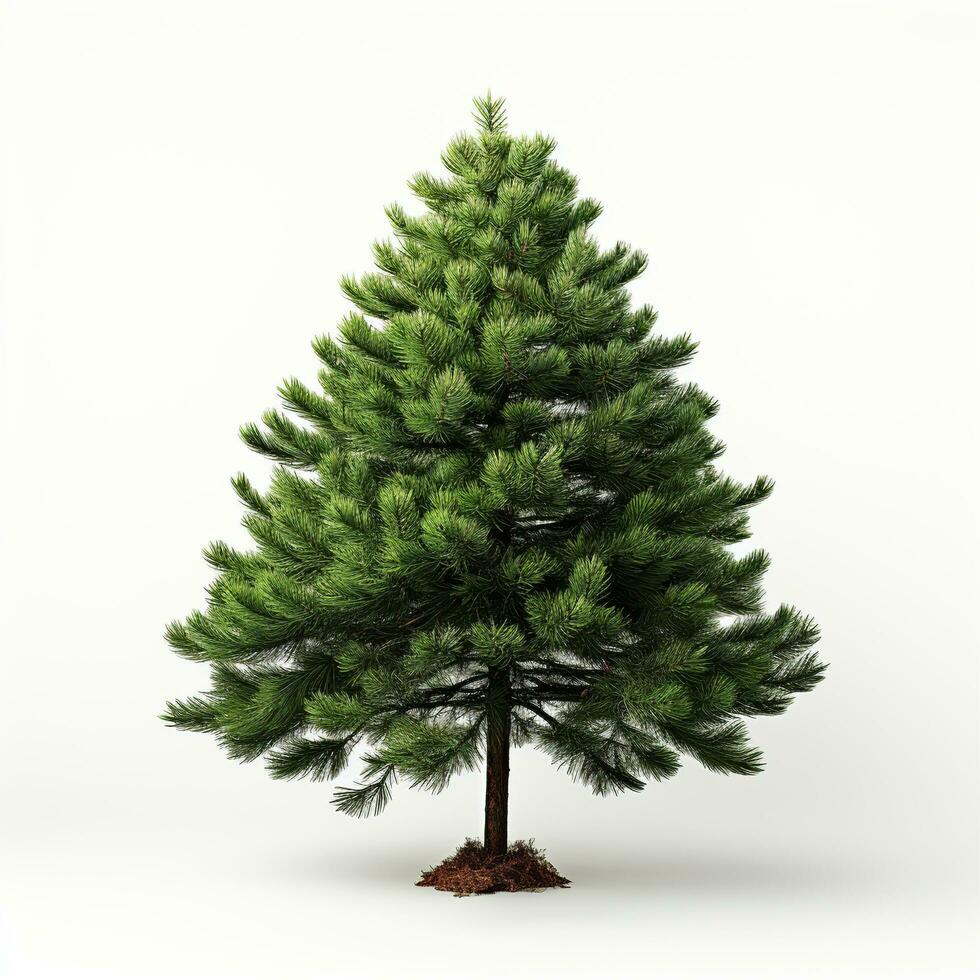 AI generated Green small pine tree on white background photo